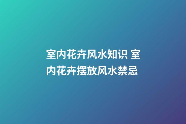 室内花卉风水知识 室内花卉摆放风水禁忌